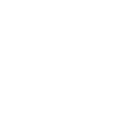 Works alongside Gonstead adjustments Icon