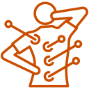 Nervous system illustration