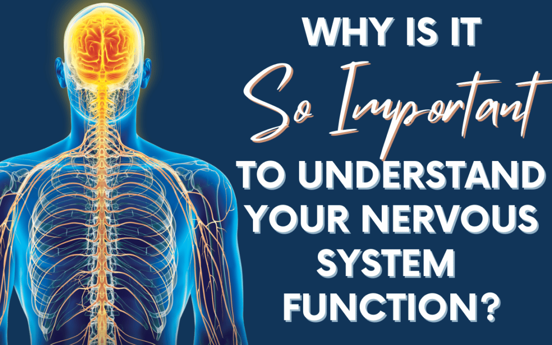 Why is it so important to understand your Nervous System function?