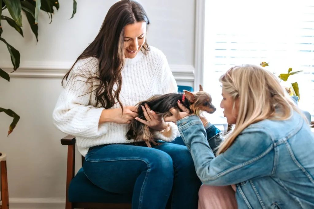 Pet-Friendly, Family-Focused Chiropractic Care at Axiom Chiropractic Charlotte