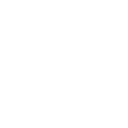 energy, hormones, digestion, and immunity Icon