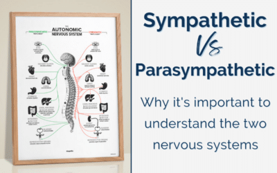 Sympathetic vs parasympathetic diagram