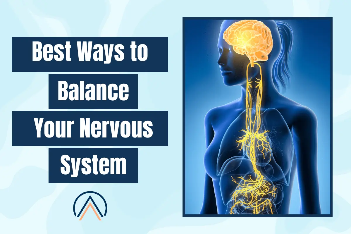 Nervous system graphic