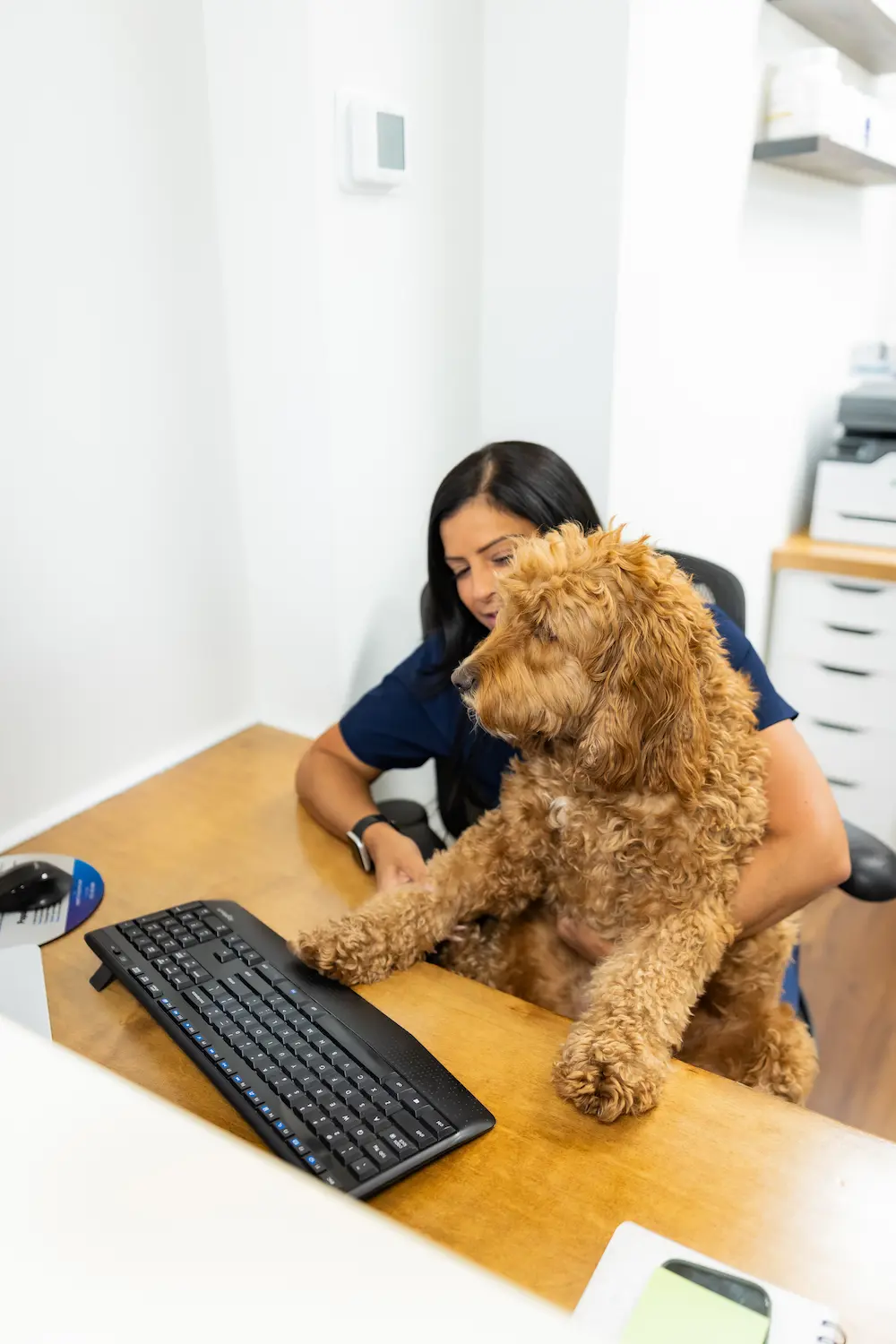 A woman in blue scrubs holds a curly brown dog at a wooden desk with a keyboard and mouse.